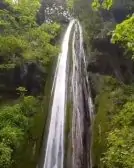 1znwFVLQ9lKxTj-1