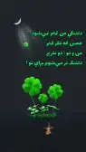 48a0qujGMoWD5C-1