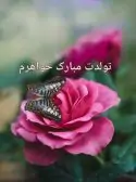5m3D4pBcxCHJjO-1