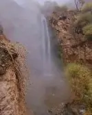 6qmsczPTjfkeid-1