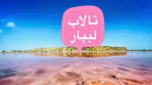 7Sk9WQiNejKXCv-1