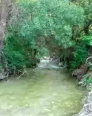 8GZmzOJSndNgFk-1