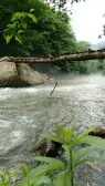 91XHAaYKkbDWvh-1