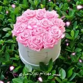 9aGcK8ivFmrI2q-1