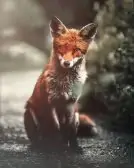 IKicH0WaJ5CxrB-1