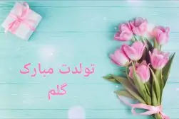 KVQsCoITLtZP21-1