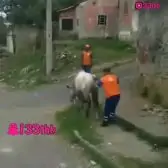 Kpm4urQfZiDAw3-1
