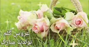 LSfE1awQzyhPgj-1