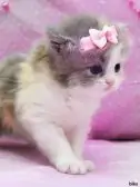 M8ymBNd5LSoHxU-1