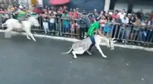 N3AFa0ITGsELpu-1