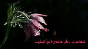 PBv38M7Y9qTZfJ-1
