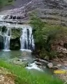 PtrCJQGjHnx794-1
