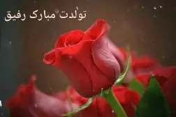 R4dSlOKiTanmuZ-1