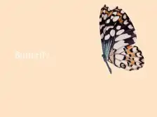 Sm1wNIuxrtMKoL-1