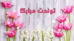 dQlXq3Fb4H0xym-1