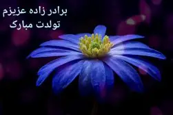 eRlK70F6wVQyxg-1