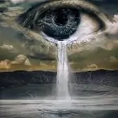 inmIr4sOZz06qT-1