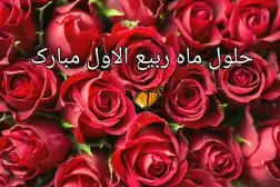 oFX4YZO15iqUGh-1