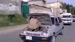 qWja5Gy4hInSNl-1