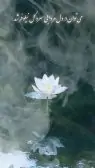 rj6nFHv9EfqJoK-1