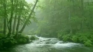 s8iPwLYFWqKBjt-1
