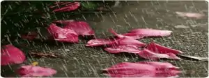 sITv4Rmcu3XfBi-1