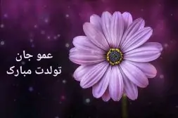 sUFq6tEmIN34hx-1