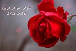 wRoq8QELu6YCx3-1