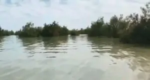 xXOL6oebhT7d0R-2