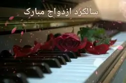 xdF3HzL8B61QoA-1