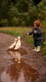 غذا دادن بچه به اردک