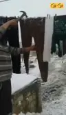 وقتی زمستون تو حیاط لباس پهن میکردیم که خشک بشه