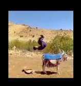 وقتی جومونگ میبینی