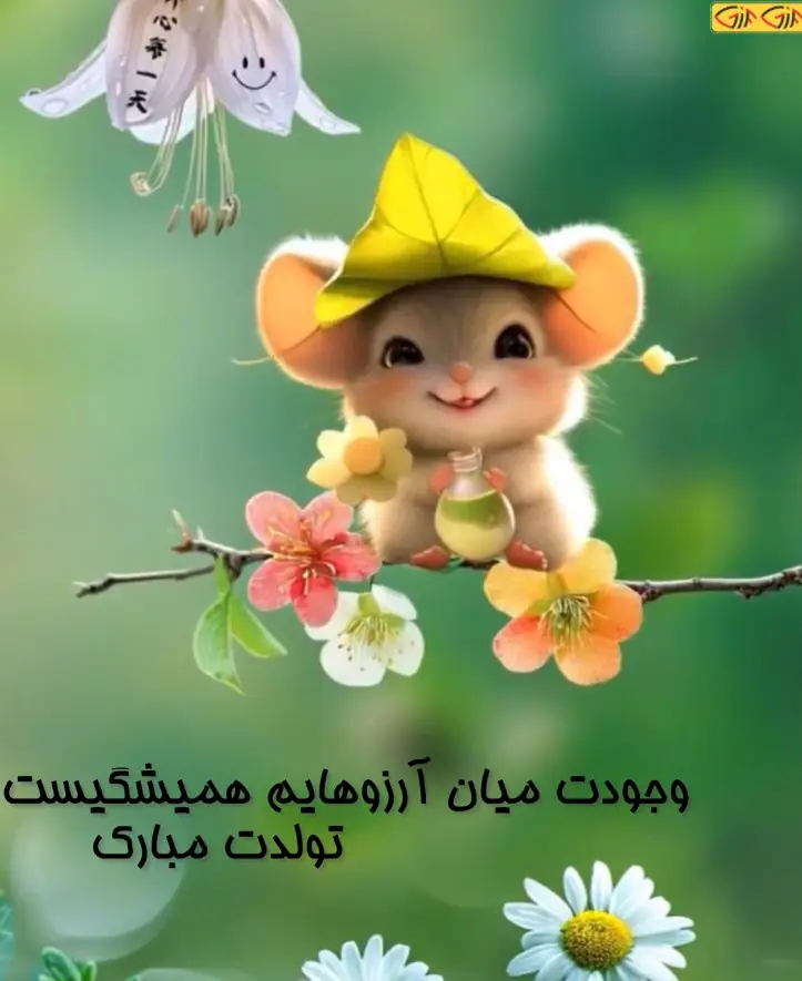تولدت مبارک