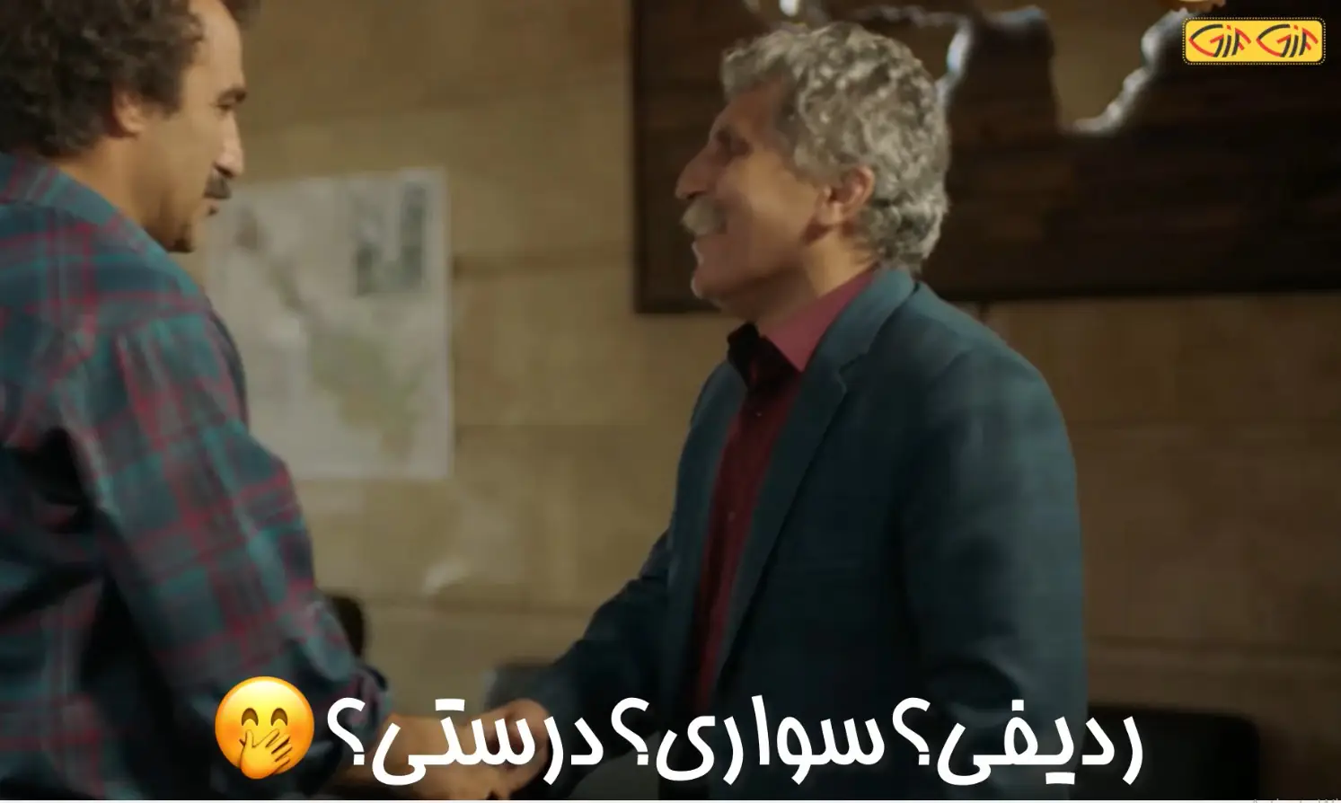 ردیفی