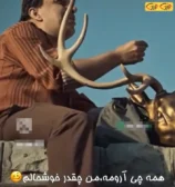 همه-چی-ارومه