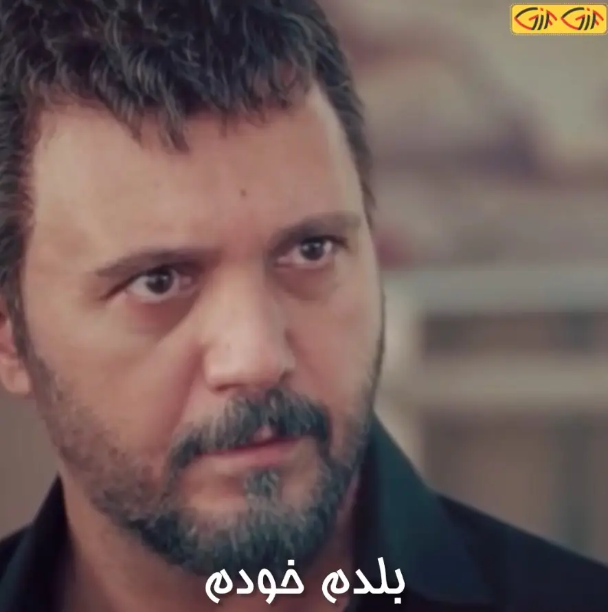 بلدم خودم