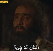 دنبال تو چی