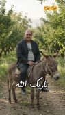 باریک الله گفتن سلمان