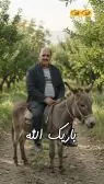 باریک الله گفتن سلمان